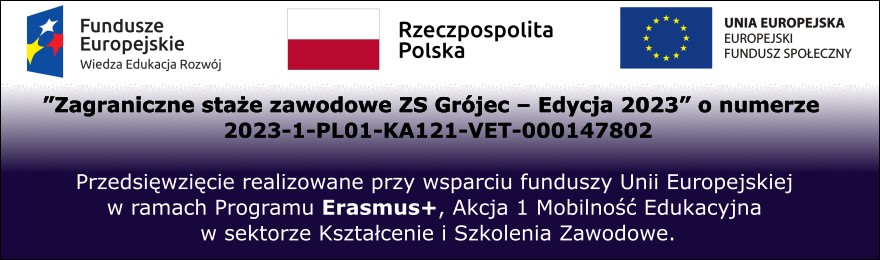 Rekrutacja do projektu "Zagraniczne staże zawodowe ZS Grójec – Edycja 2023"