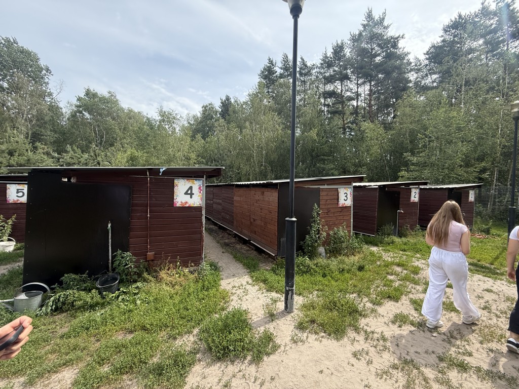 Wolontariat ZS Grójec w akcji na rzecz zwierząt – zbiórka karmy podczas festynu Św. Patryka
